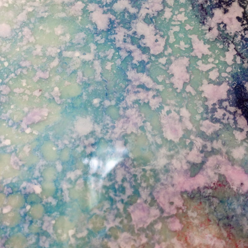Macro detail: green and pink mineral spray, Rockpool